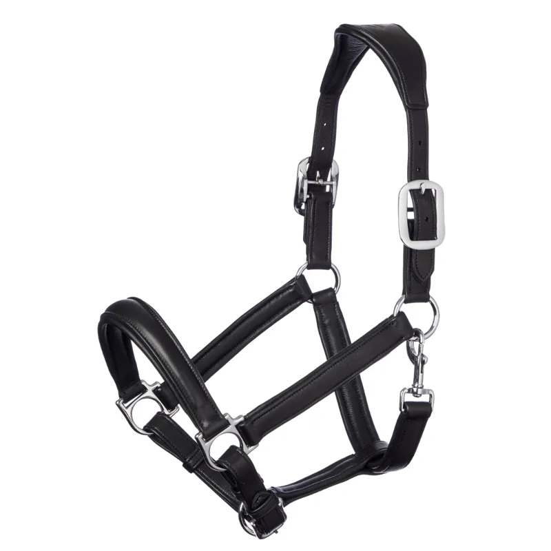 LeMieux Anatomic Leather Headcollar - Black